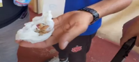 �������� ������� : ��� ���� ������ �� ������ �������