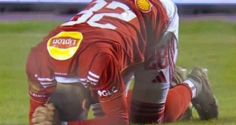 ��� ������� ������ ���� ���� ���� ��� ������ ���� ���������