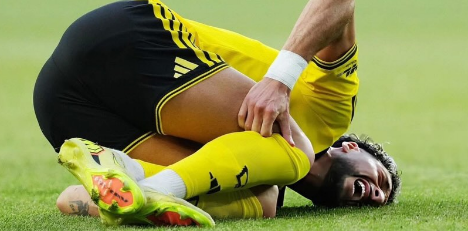 ���� : ���� ������ .. �����