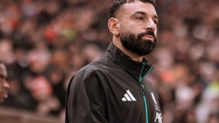 ������ ������ : ���� ����� ����� ��� ���� ���� ��� �����