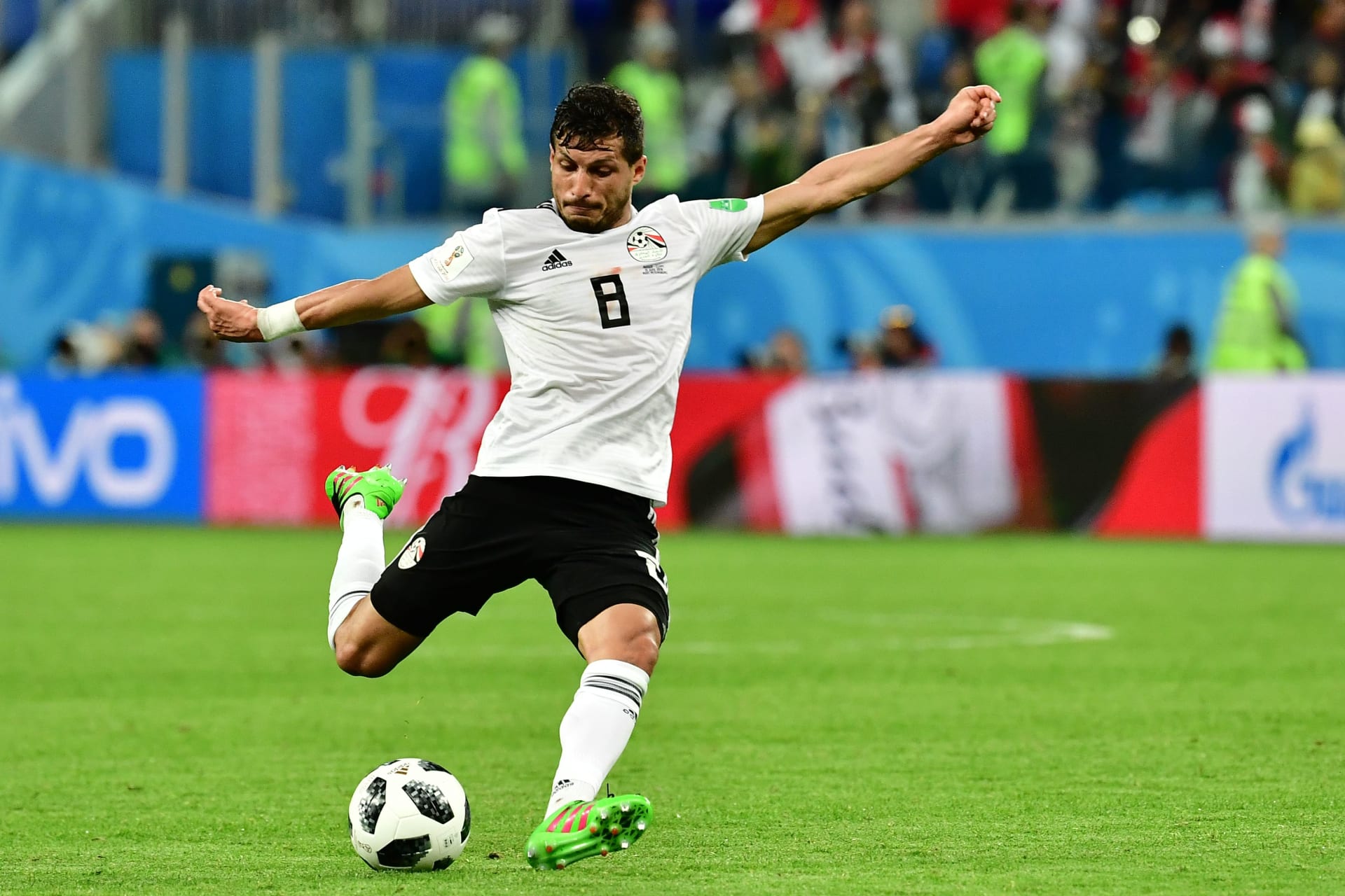 ���� ������� ������ ����� ���� ���� ����